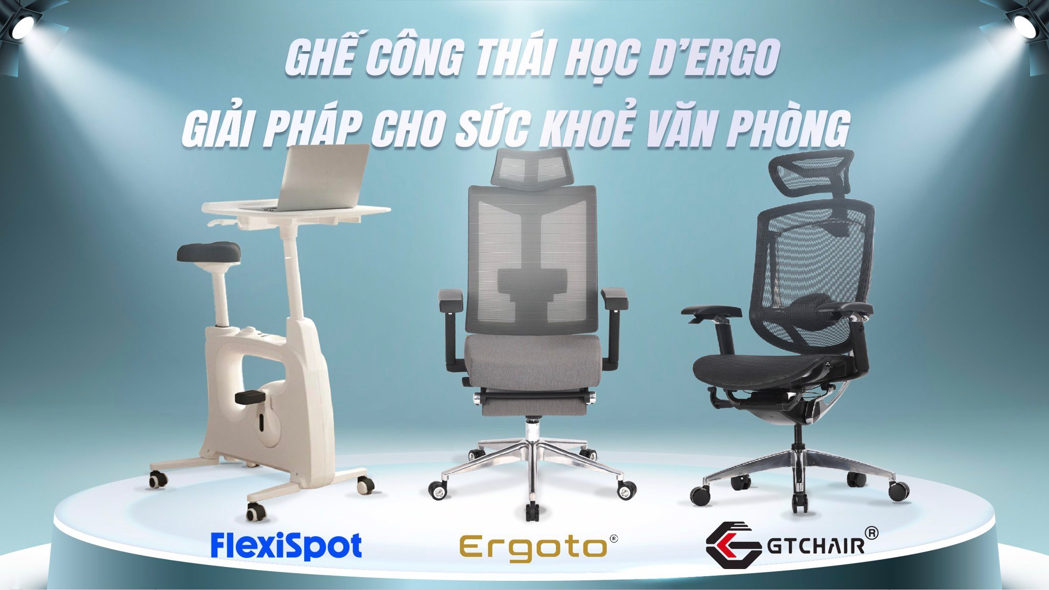 Ghế công thái học Office – D'ERGO VIETNAM