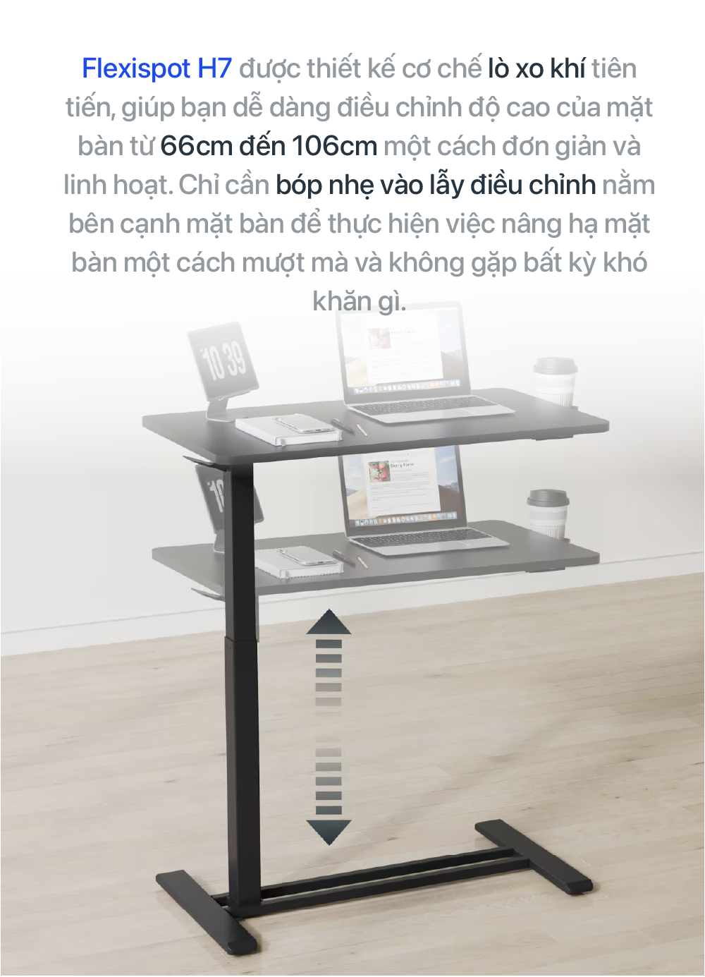 Hình ảnh sản phẩm