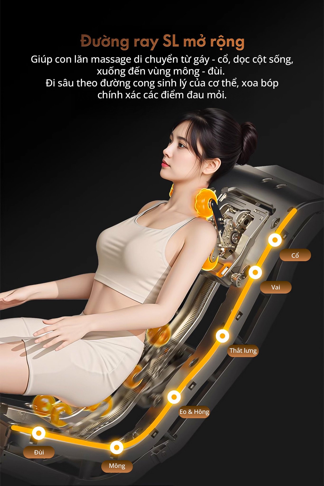 Hình ảnh sản phẩm