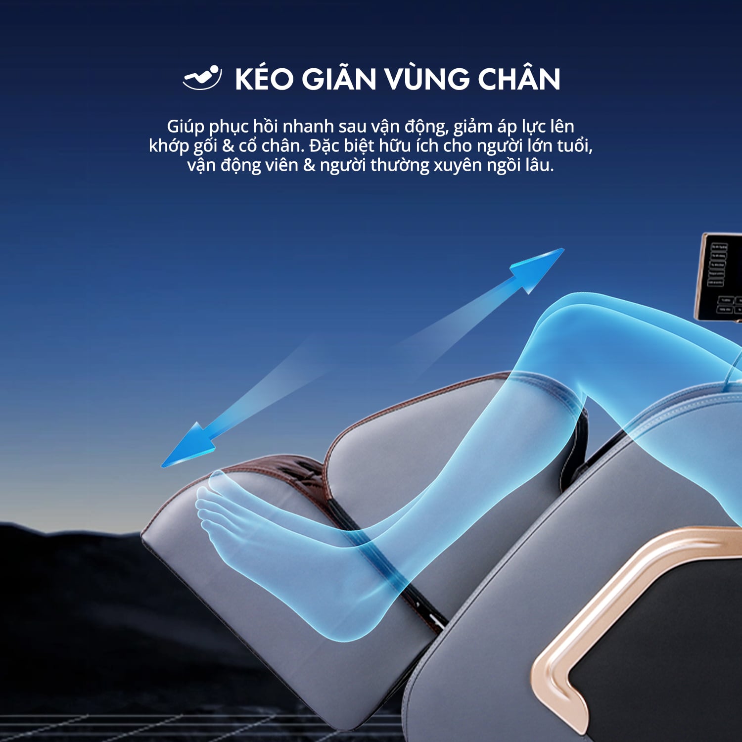 Hình ảnh sản phẩm