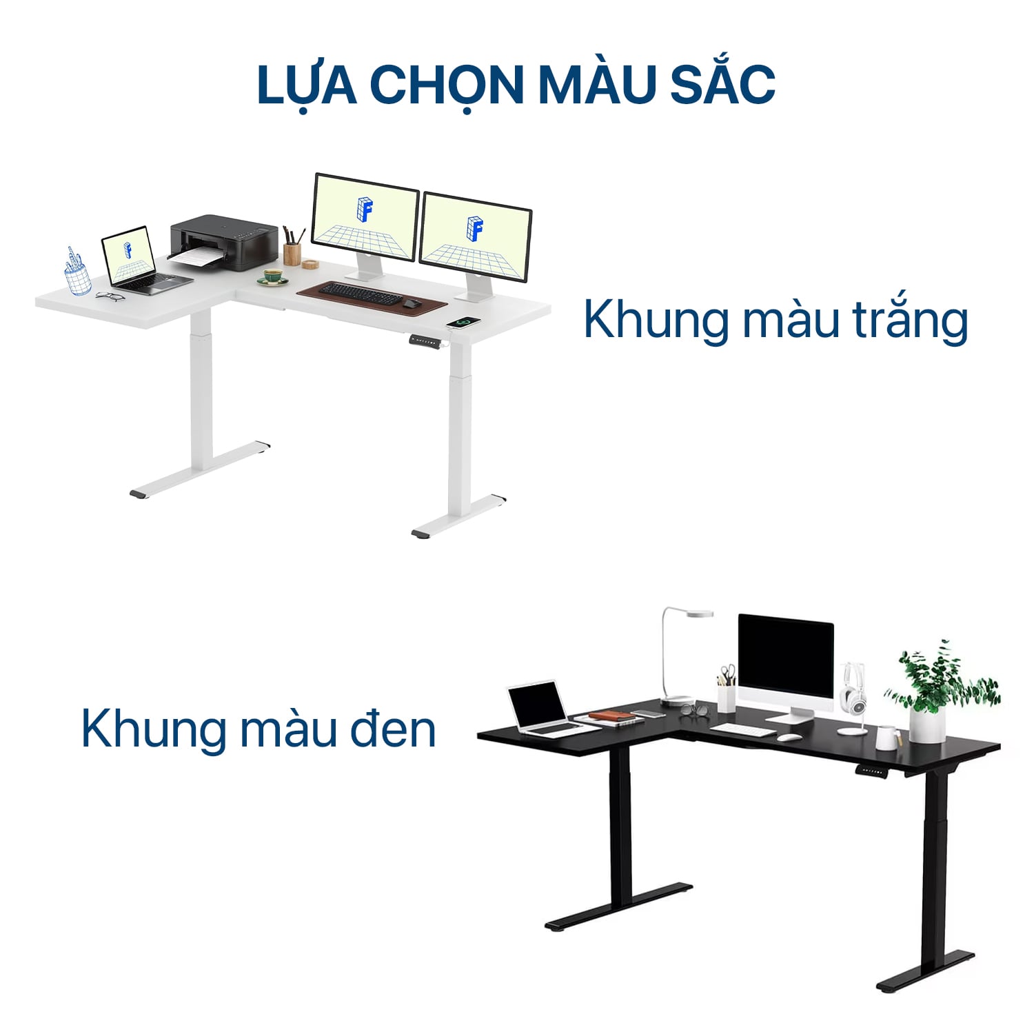 Hình ảnh sản phẩm