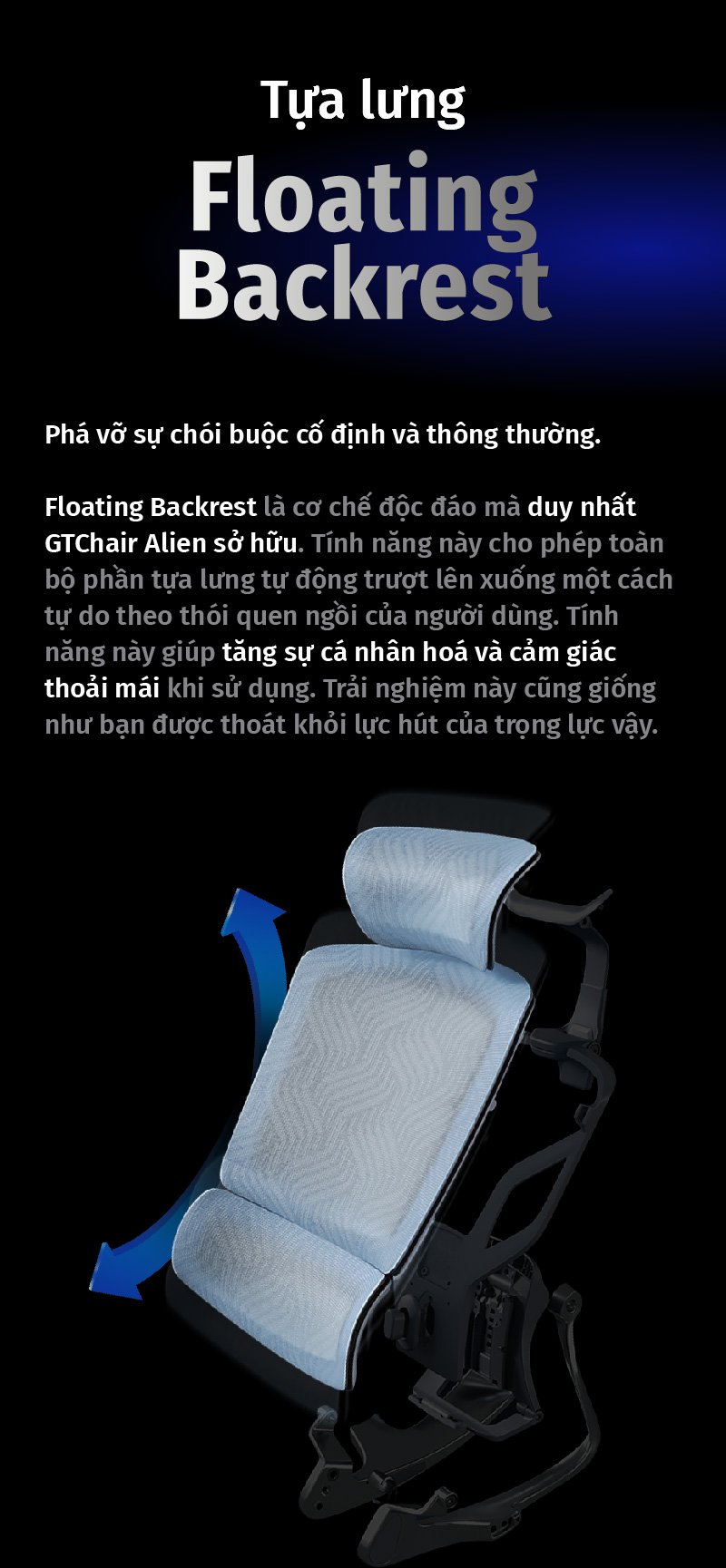 Hình ảnh bài viết