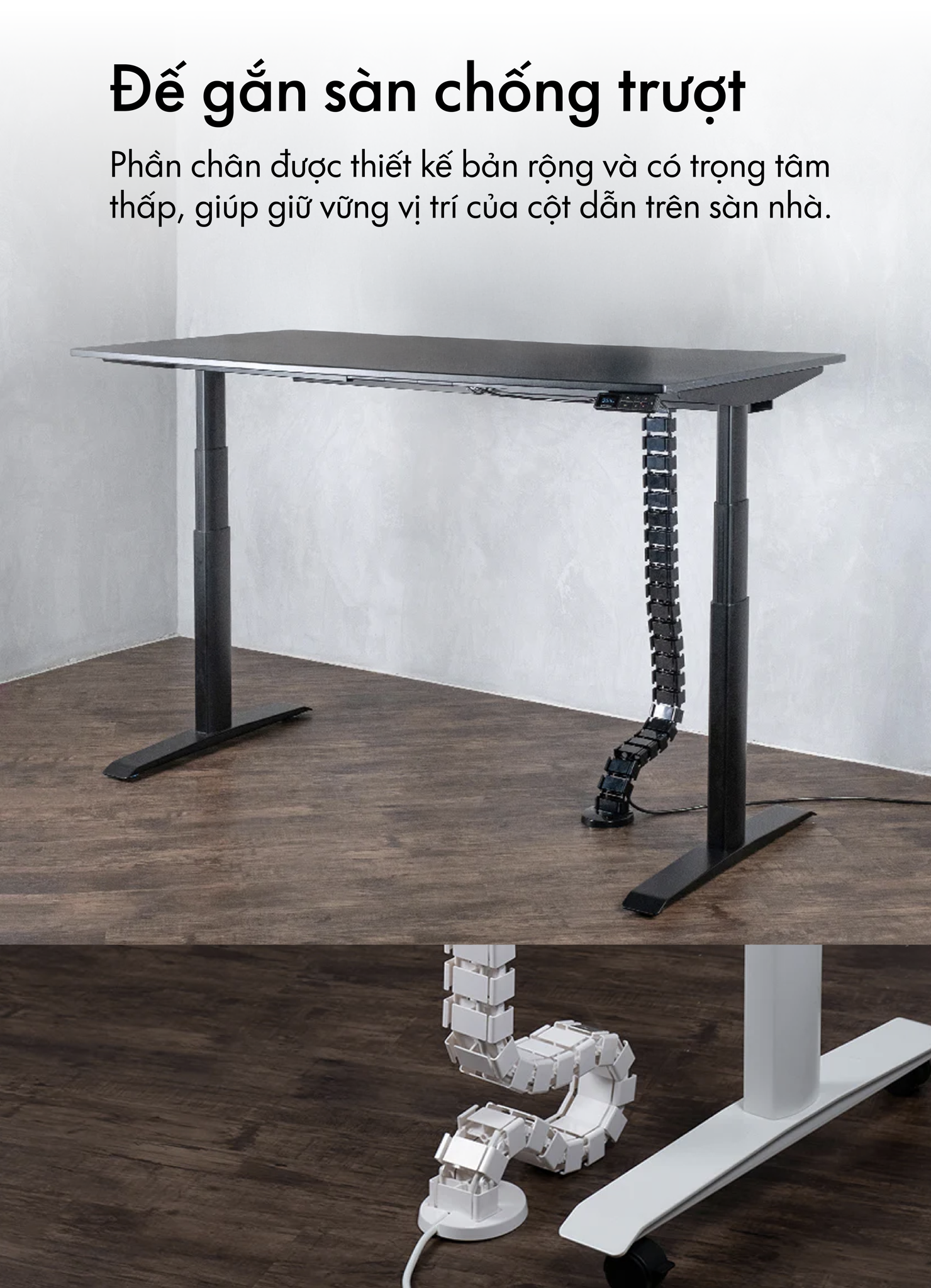 Hình ảnh sản phẩm