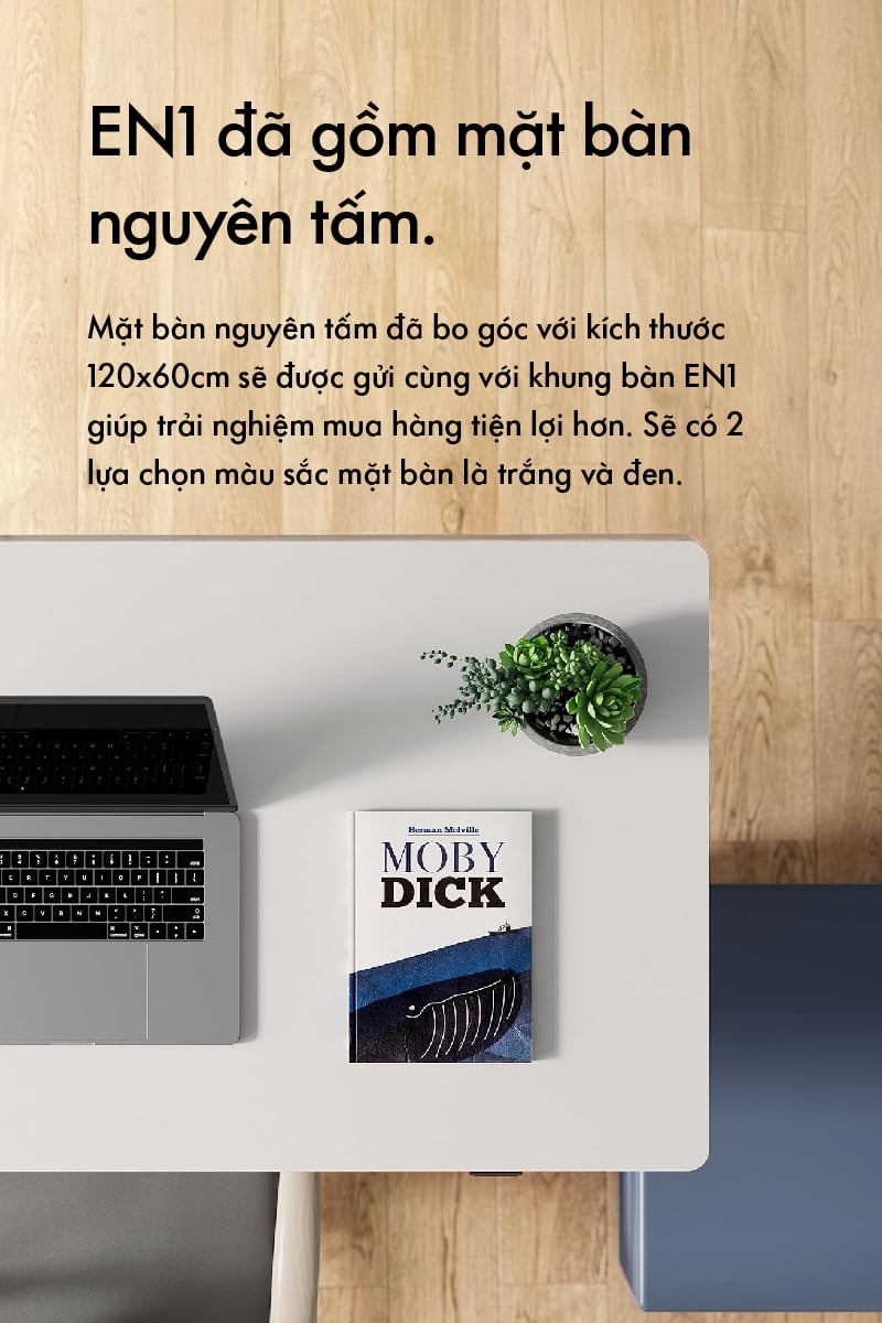 Hình ảnh sản phẩm
