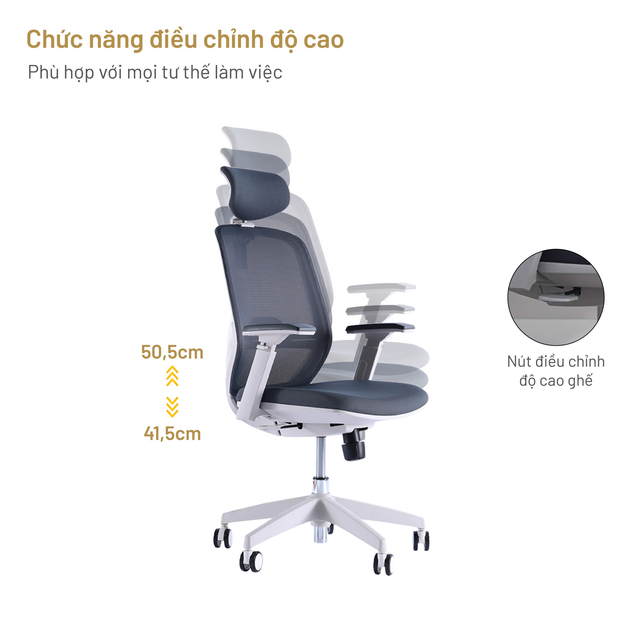 Ghế Ergonomic office chair Elegant T21 Dòng ghế văn phòng cao cấp D