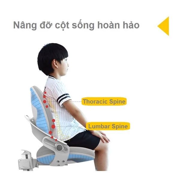 Hình ảnh bài viết