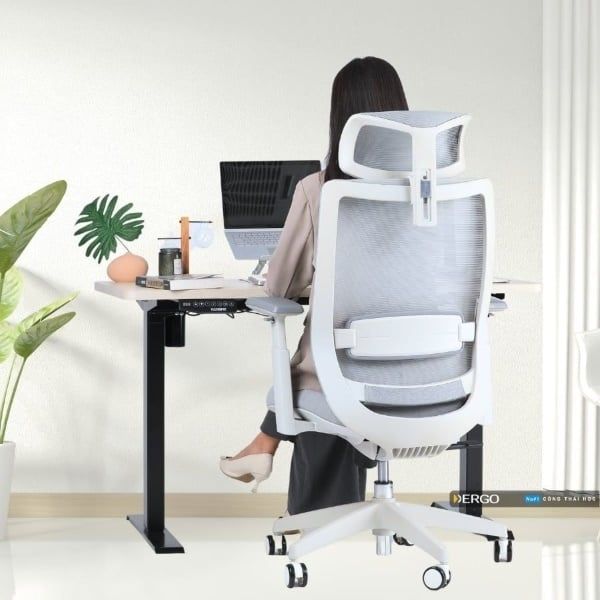 Lựa chọn ghế ngồi văn phòng cao cấp để điều chỉnh dáng ngồi chuẩn cho người ngồi làm việc