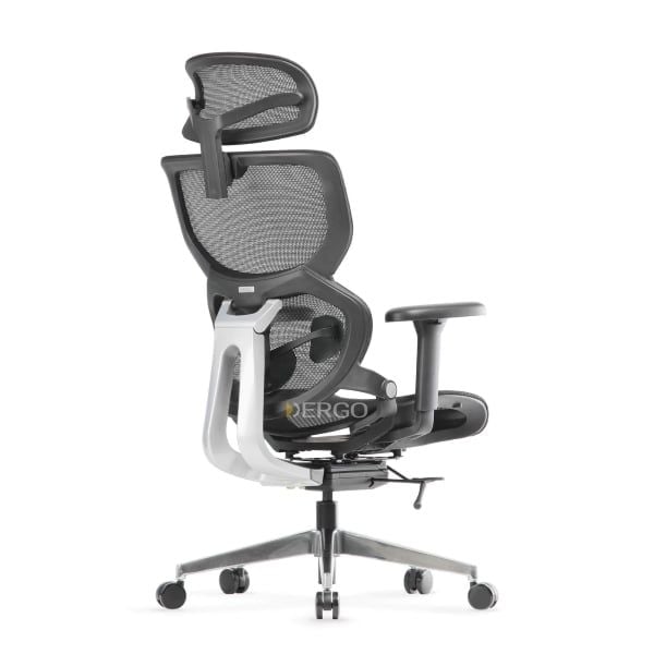 Ghế ngồi văn phòng Ergonomic ErgoStuhl Q3