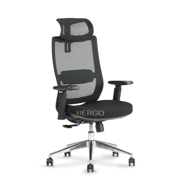 Ghế văn phòng cao cấp Ergonomic office chair Elegant T23