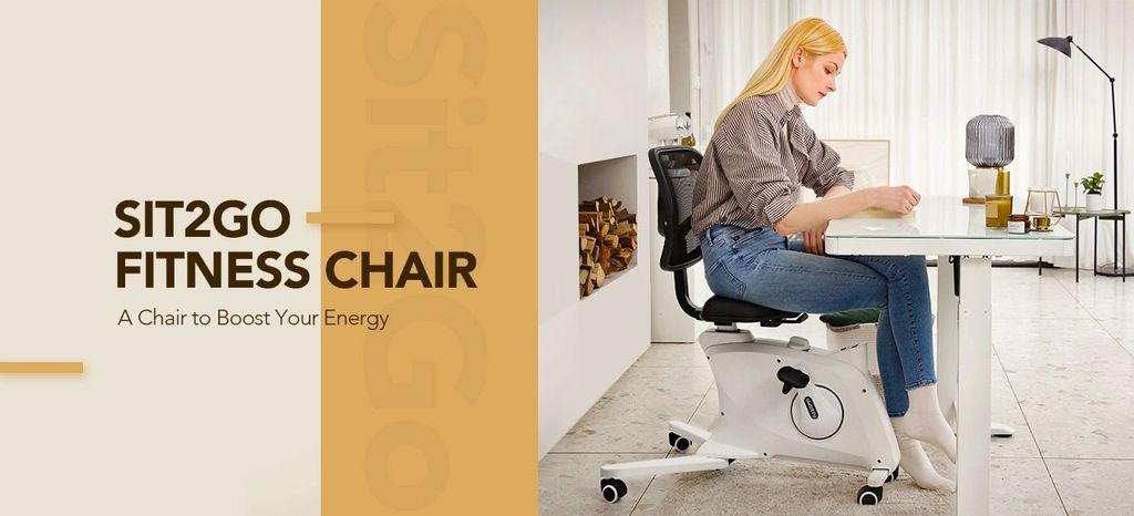 ghế ergoburn fitness chair