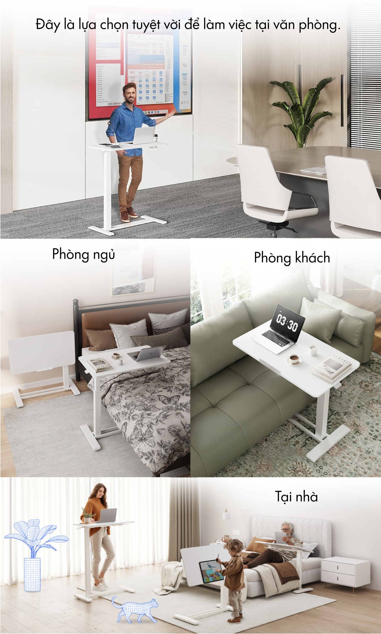 Hình ảnh sản phẩm