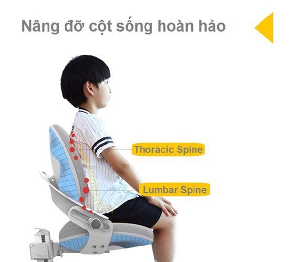 Hình ảnh bài viết