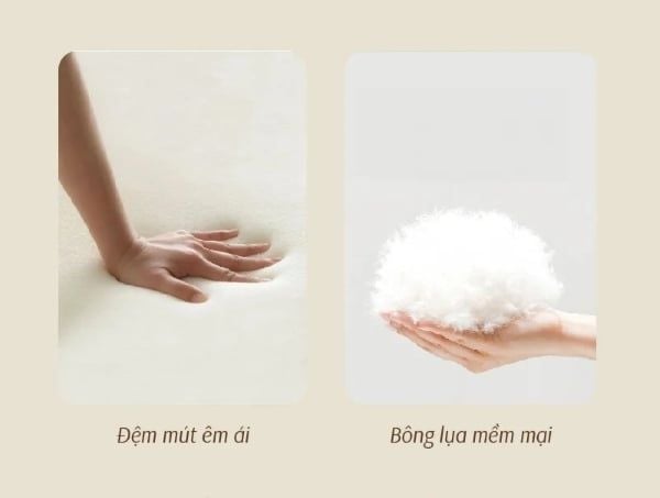 Hình ảnh bài viết