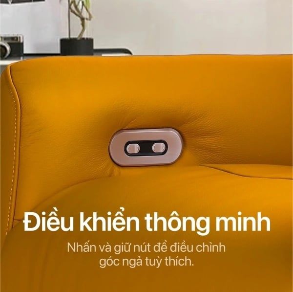 Hình ảnh bài viết