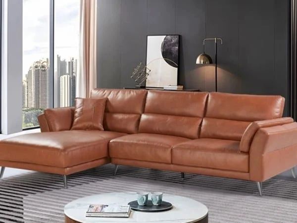 Sofa nhập khẩu với thiết kế dễ dàng phù hợp với nhiều phong cách khác nhau
