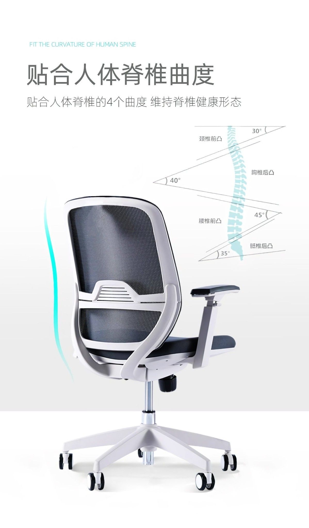 Ghế văn phòng cao cấp Ergonomic office chair Elegant T21 D'ERGO.VN