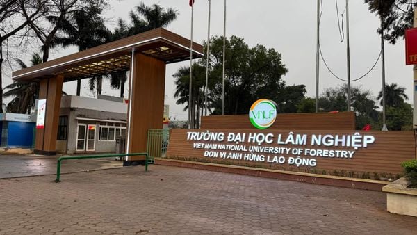 Đại học Lâm nghiệp Việt Nam (VNUF)