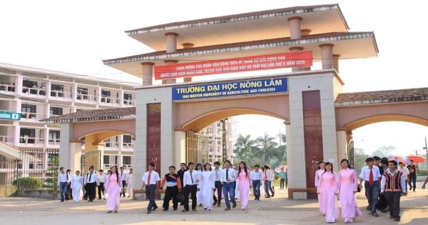 Đại học Nông Lâm – Đại học Thái Nguyên (TUAF)