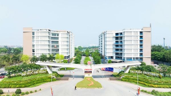 Trường Đại học Đại Nam