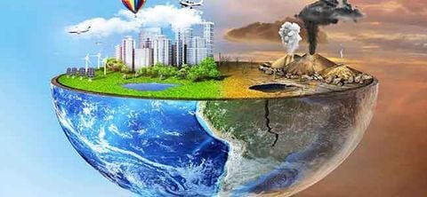 Ô nhiễm môi trường và suy thoái môi trường