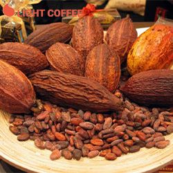 NGUỒN NHẬP CACAO NGUYÊN CHẤT UY TÍN