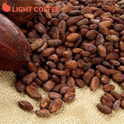 ĐỊA CHỈ CUNG CẤP CACAO GIÁ RẺ ĐẢM BẢO CHẤT LƯỢNG