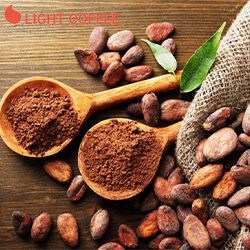 HÉ LỘ NGUỒN PHÂN PHỐI CACAO CHÍNH HÃNG