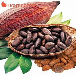 BẬT MÍ BẠN CÔNG THỨC PHA CHẾ CACAO SỮA ĐÁ
