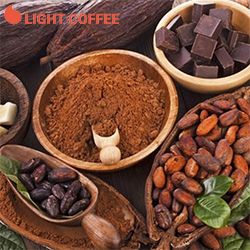 DÙNG CACAO ĐỂ GIẢM CÂN CÓ TỐT HAY KHÔNG?