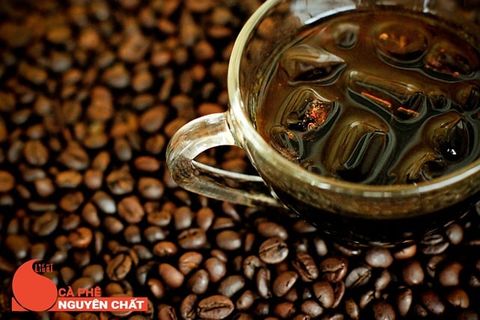 Sự thật thú vị cà phê nguyên chất có màu gì?