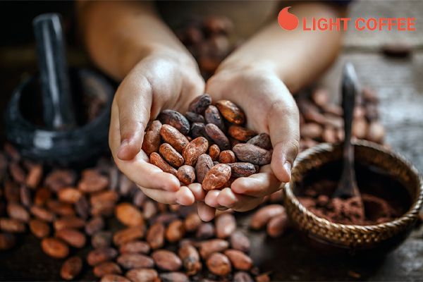 Cacao Light Coffee