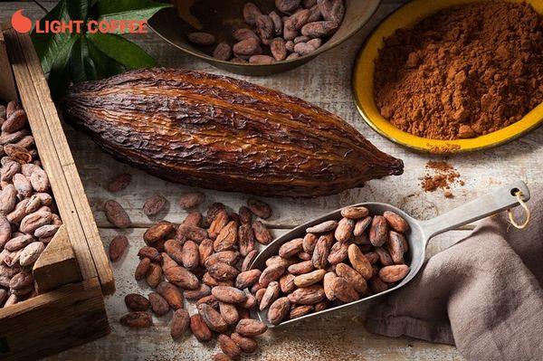 bột cacao