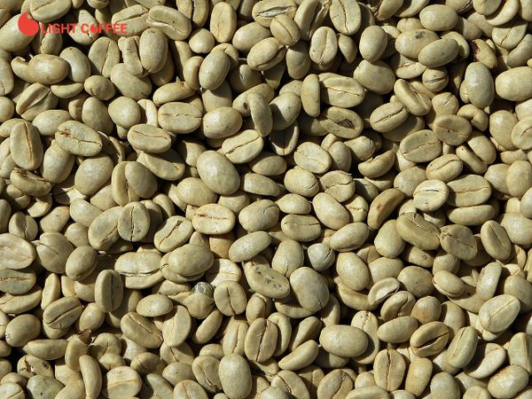 Cà phê Arabica và Robusta loại nào ngon hơn