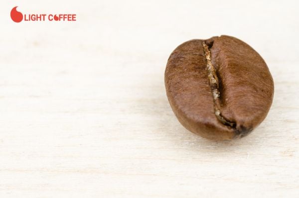 Cà phê Arabica và Robusta loại nào ngon hơn