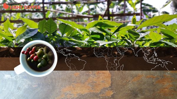 Cà phê thế giới