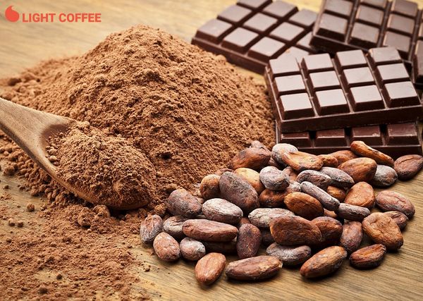 bột cacao, mua bột cacaoởđâu, lightcacao