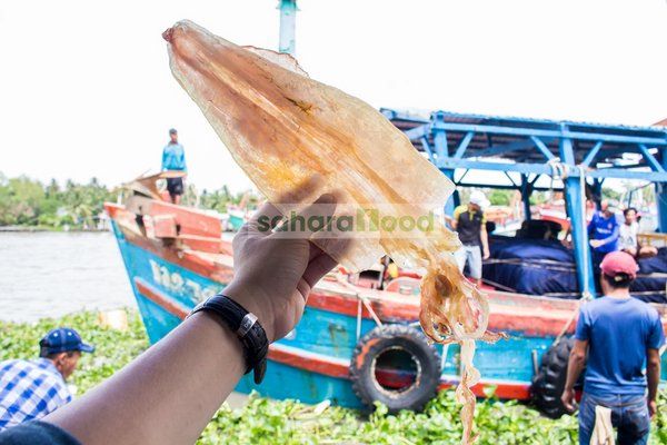 Quy trình chọn lựa đóng gói Khô Mực Sahara Food