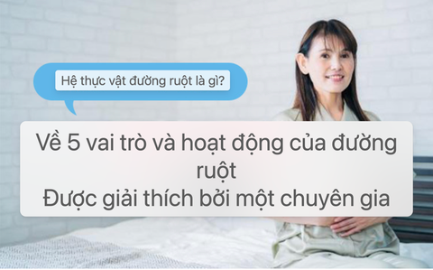 Hệ thực vật đường ruột là gì? Giải thích về hoạt động của ruột