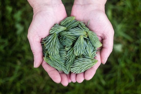 Bạn đã hiểu về sản phẩm hữu cơ