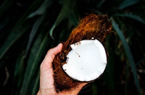 Sữa dừa organic và 9 lợi ích sức khỏe tuyệt vời có thể bạn chưa biết
