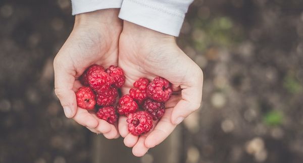 Top 12 thực phẩm tốt cho tim mạch có thể bạn chưa biết