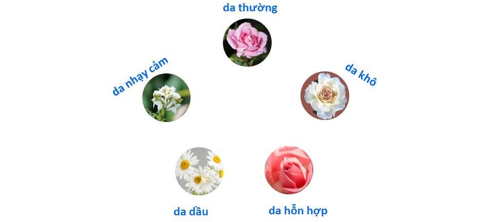 Da bạn thuộc loại da gì