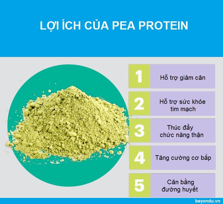 loi ich pea protein