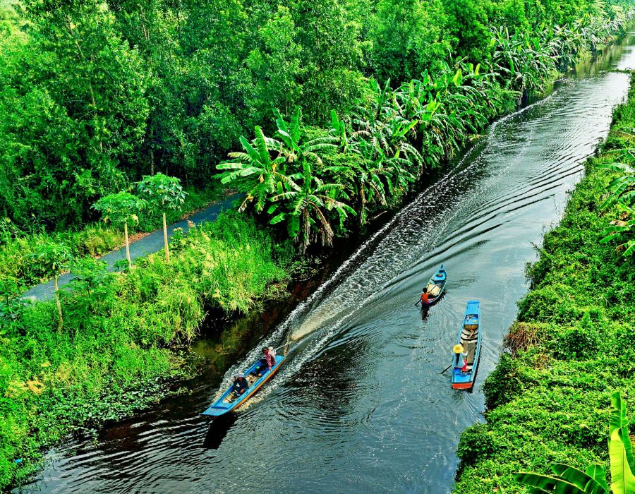 Vườn quốc gia U Minh Hạ: Điểm đến lý tưởng cho du khách yêu thiên nhiên