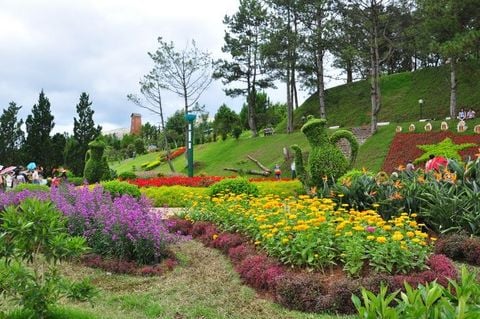 Đà Lạt tháng 6 có gì đẹp