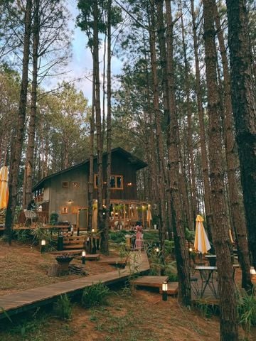 Đà Lạt tháng 6 có gì đẹp