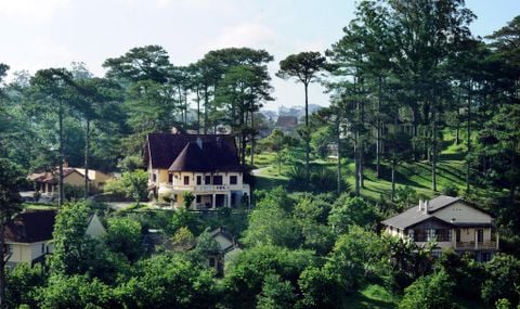 Đà Lạt tháng 6 có gì đẹp