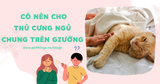 BẠN CÓ NÊN CHO CHÓ, MÈO CƯNG NẰM NGỦ CHUNG TRÊN GIƯỜNG?