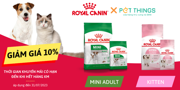 KHUYẾN MÃI THÁNG 7: ROYAL CANIN GIẢM GIÁ 10% THỨC ĂN HẠT CHO CHÓ, MÈO