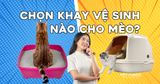 Khay vệ sinh cho mèo: Nên chọn loại có nắp hay không nắp?